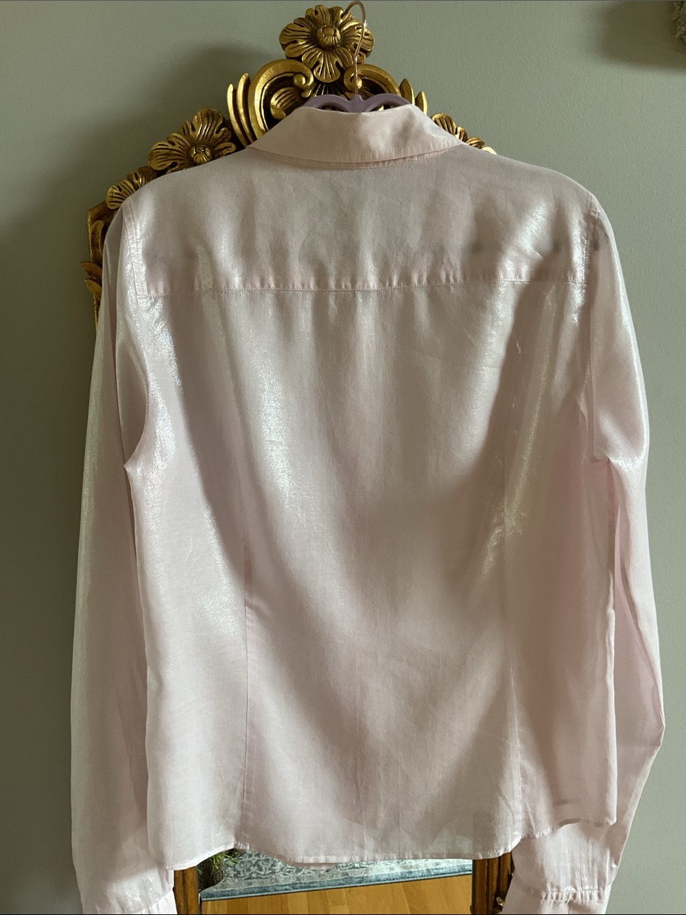 J. Crew Pale Pink Sheen Button-Up Dress Women’s Shirt - Picture 4 of 8